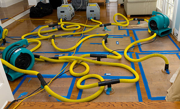 Professional Water Extraction technician working in Monroe, SD